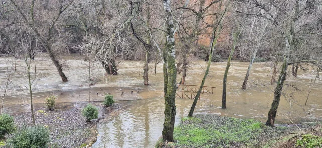 Toxica agua en Guadalajara contaminacion alerta