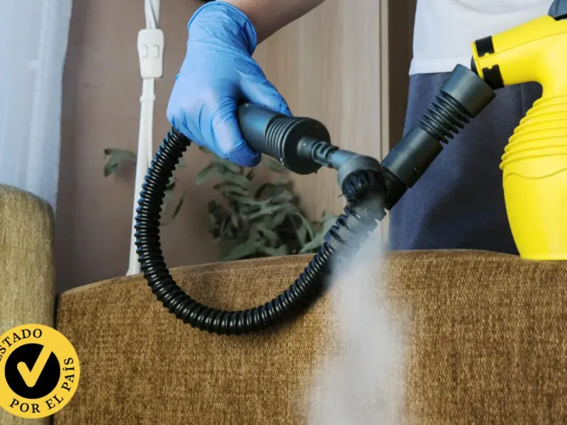 Vaporeta mano comparativa Cecotec Kärcher Solac Mellerware Taurus