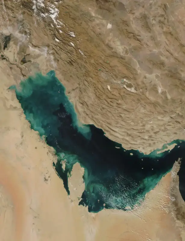 Coral reefs protect Arabian Gulf coastlines